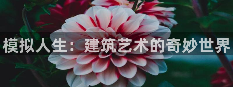 狗子28游戏软件：模拟人生：建筑艺术的奇妙世界