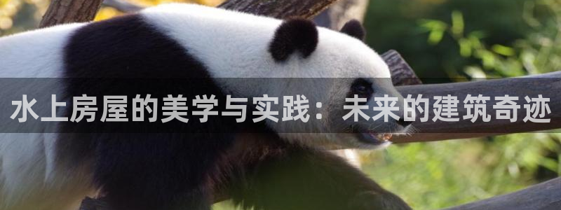 狗子28游戏大厅下载：水上房屋的美学与实践：未来的建筑奇迹