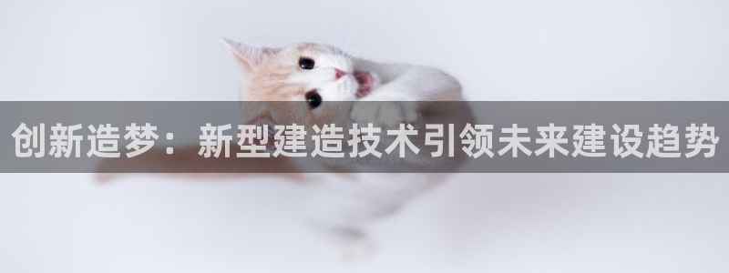 狗子28客服中心：创新造梦：新型建造技术引领未来建设趋势