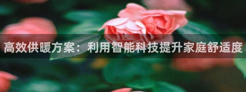 狗子28系统：高效供暖方案：利用智能科技提升家庭舒适度